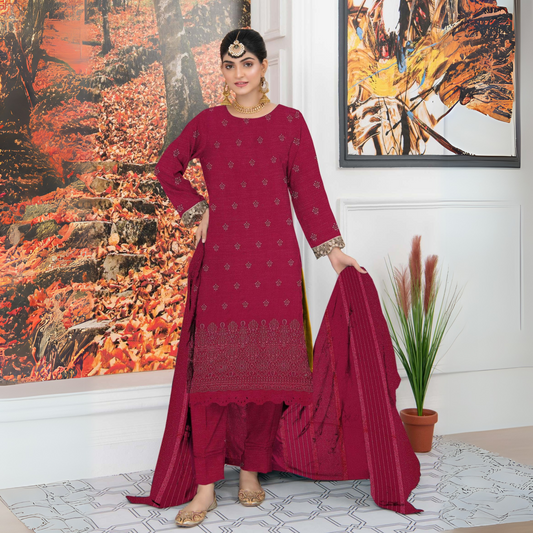 Shine Dhanak Embroidered –003